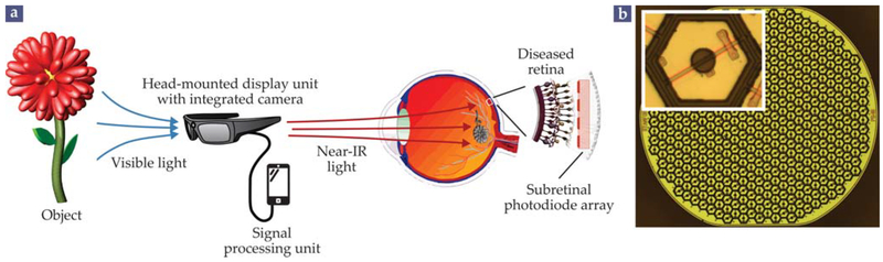 FIGURE 5.