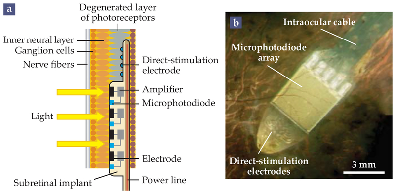 FIGURE 4.