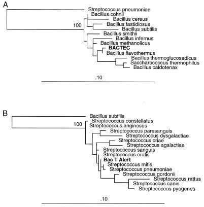 FIG. 6