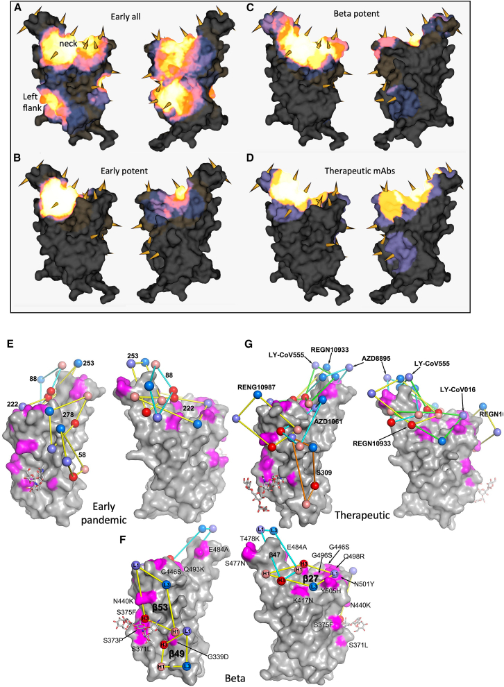 Figure 5