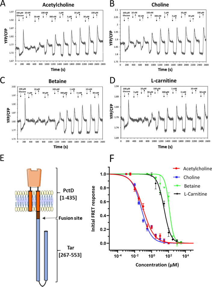 FIG 3