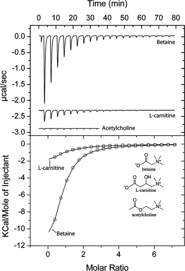 FIG 6