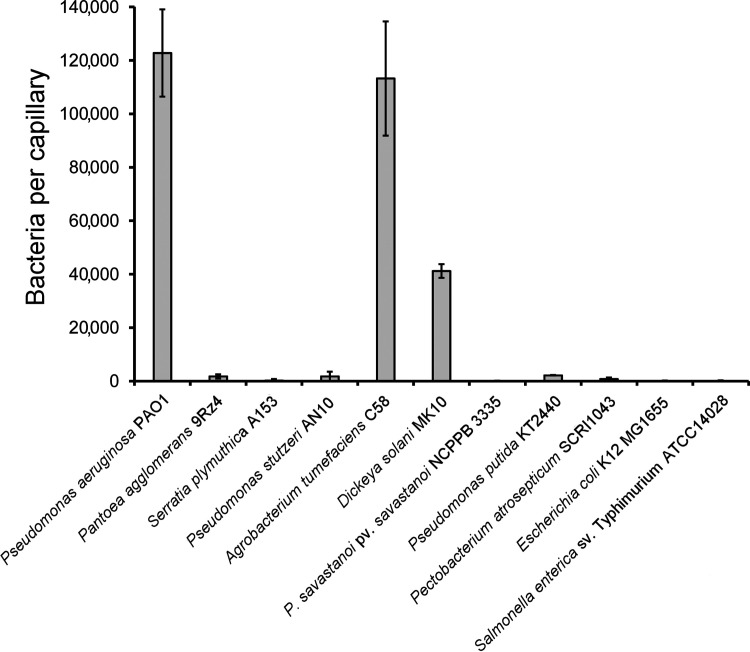 FIG 7