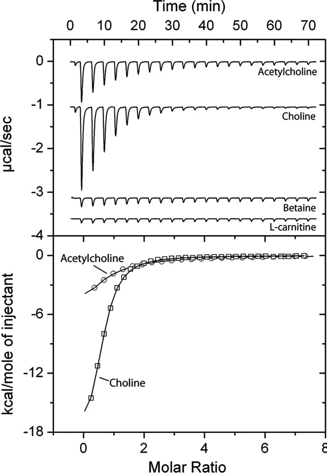 FIG 2