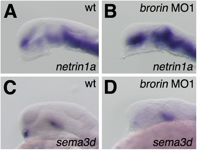 Fig 9