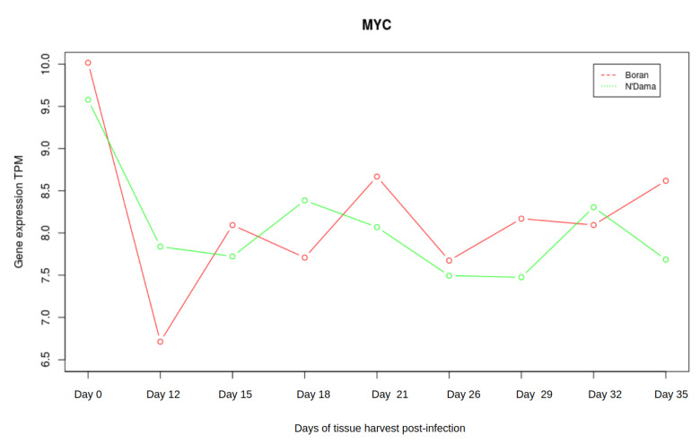 Figure 7