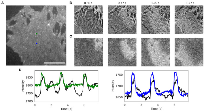 Figure 6