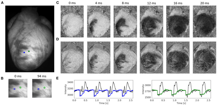 Figure 4