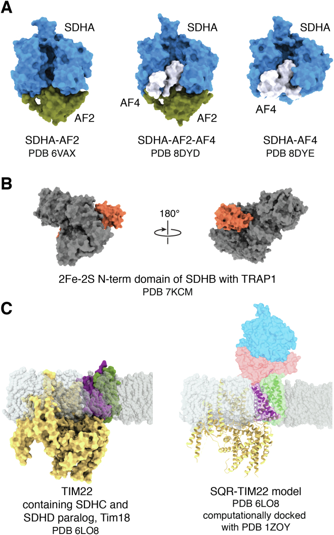 Figure 3