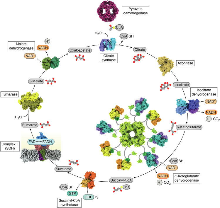 Figure 2