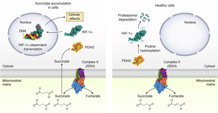 Figure 6