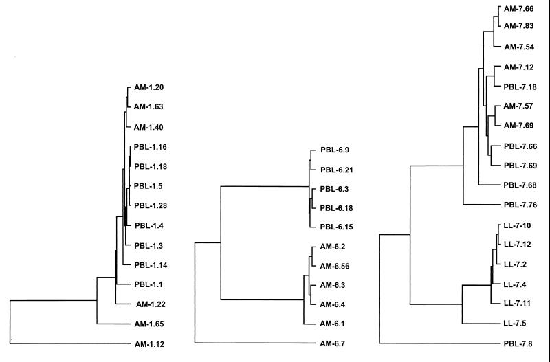 FIG. 5