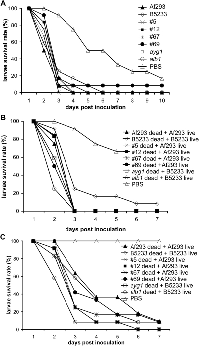 Figure 10