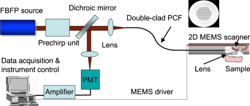 Fig. 5