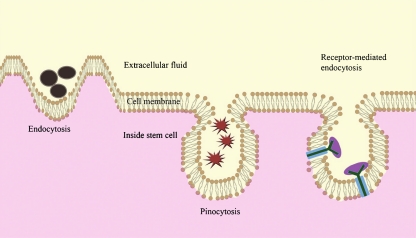 Fig. 1