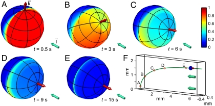 Fig. 6.