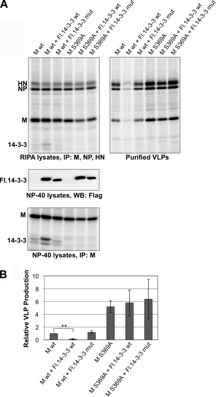 FIG. 6.