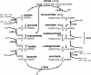 Fig. 3.