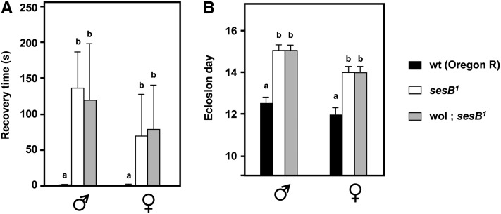 Figure 3 