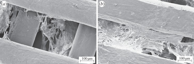 Figure 11.