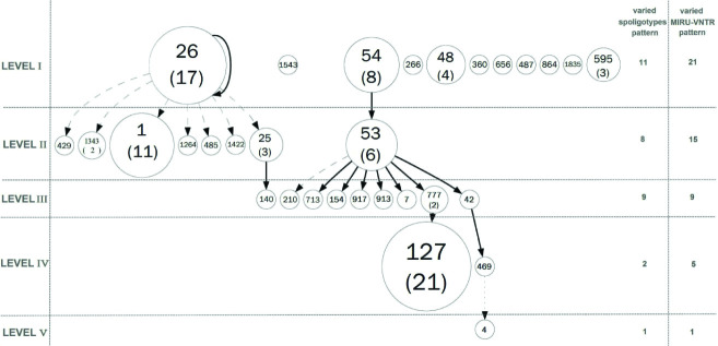 [Table/Fig-4]: