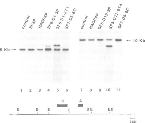 Fig. 9.