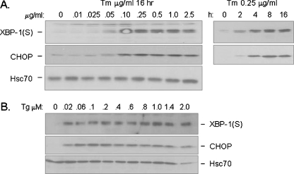 Fig. 5