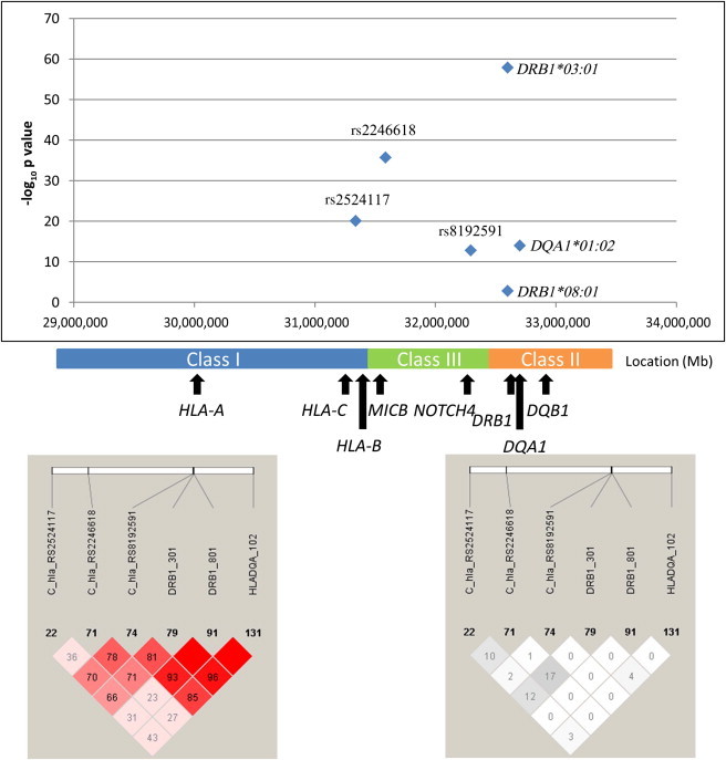 Figure 3