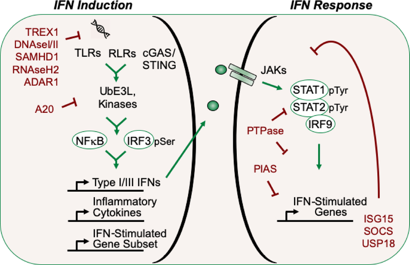 Figure 1: