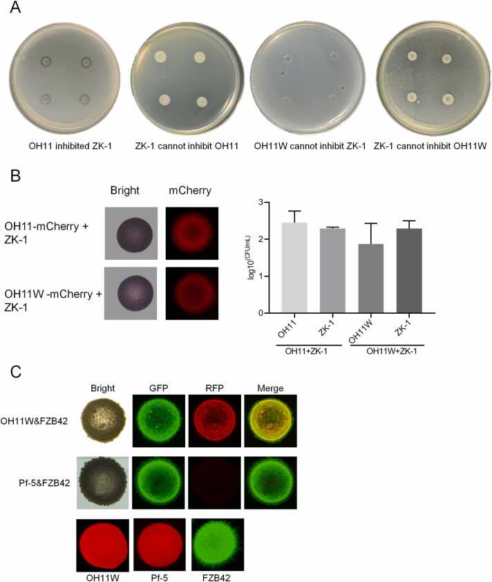 Fig. 2