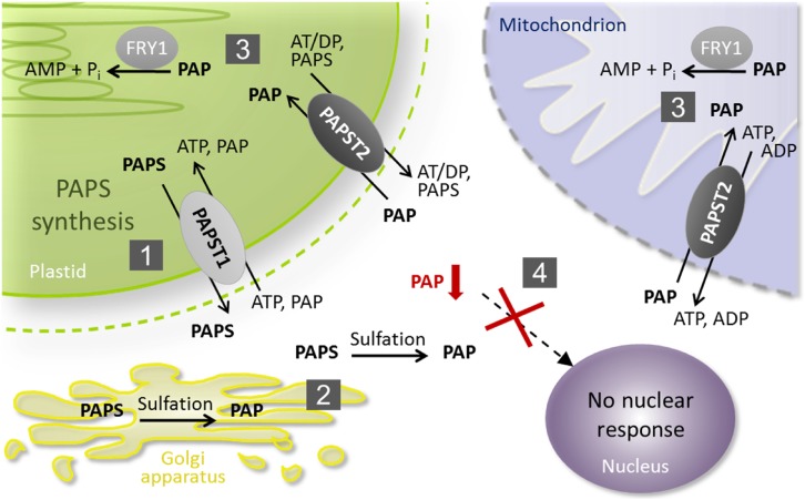 Figure 10.