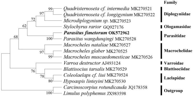 Figure 1.