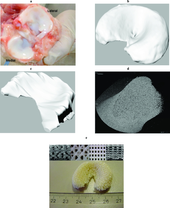 Fig. (1)