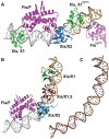 Figure 7.