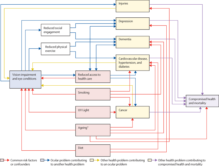 A schematic of boxes and arrows illustrating common risk factors or confounders for vision impairment, ocular problems that can contribute to other health problems, other health problems that can lead to ocular problems, and other health problems that contribute to compromised health and mortality
