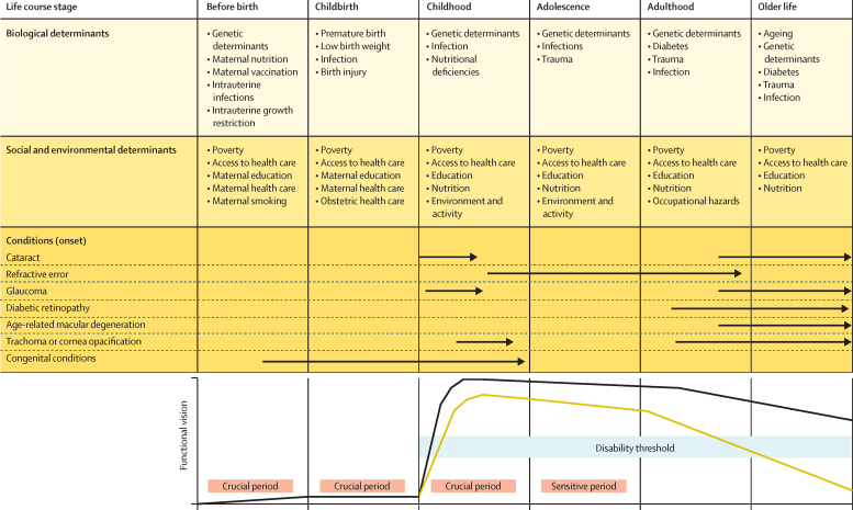 Multi-part figure portraying a life-course perspective on eye health. The purpose is to show the many biological, social, and environmental determinants of eye disorders at different stages in the life course and how differences in functional vision begin in childhood and widen over the course of the person's lifetime. For a longer description, refer to appendix 3 in the supplementary materials.