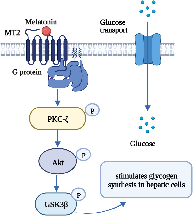 Figure 6.