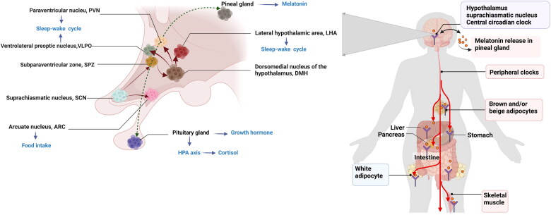 Figure 2.