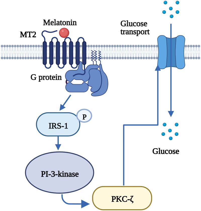 Figure 5.