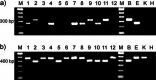 Fig. 1a, b.