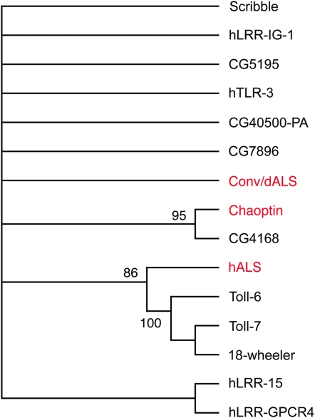 Figure 2.—