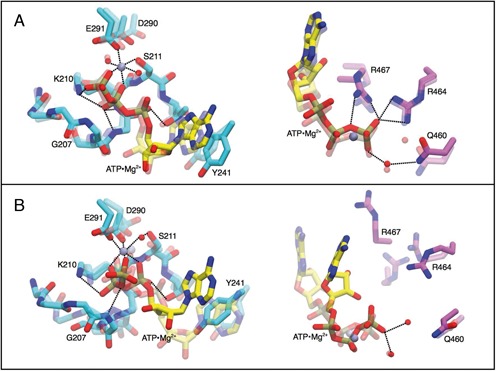 Figure 4.