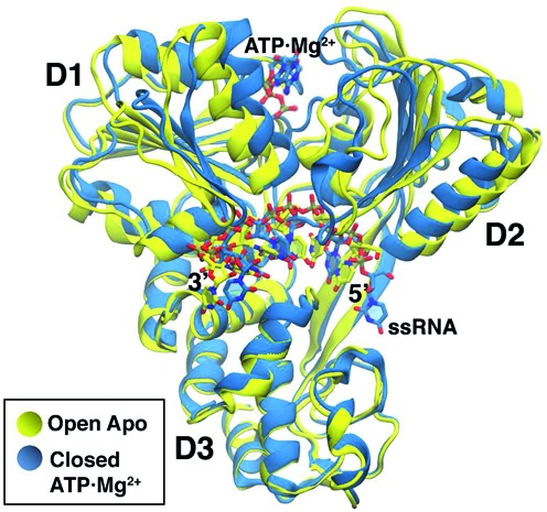 Figure 1.