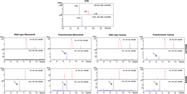 Figure 7