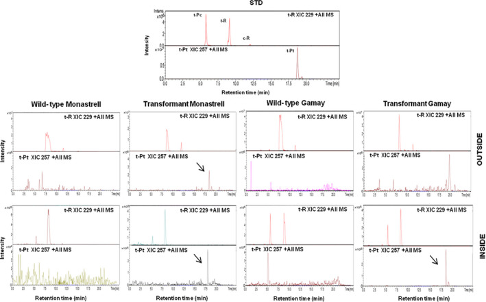 Figure 6