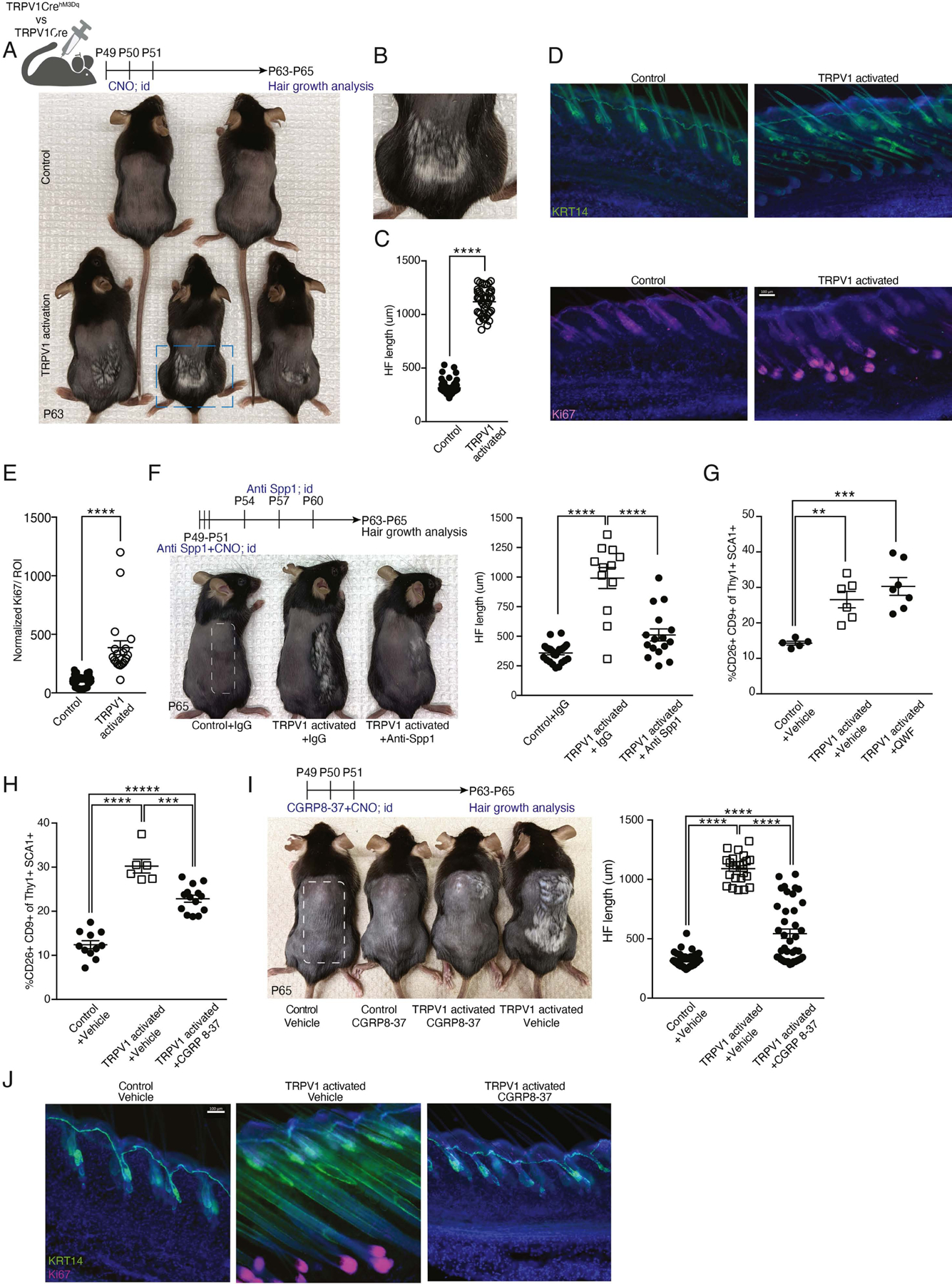 Figure 2: