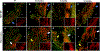 Figure 6:
