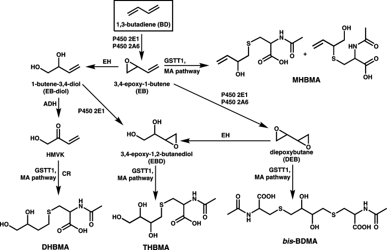 Scheme 1.