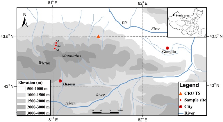 Figure 1