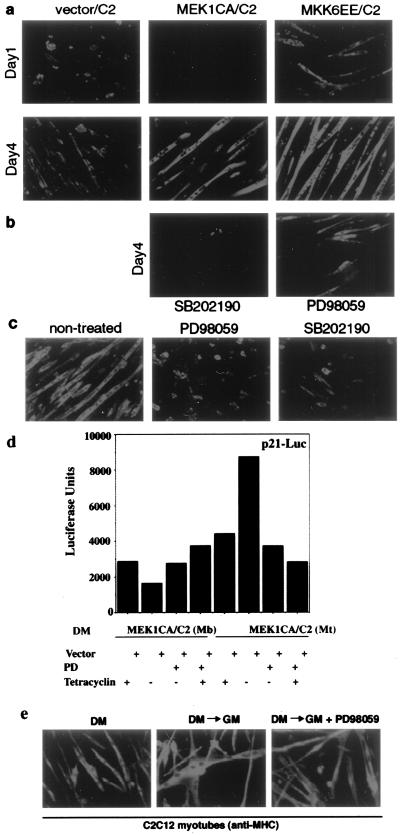 FIG. 8